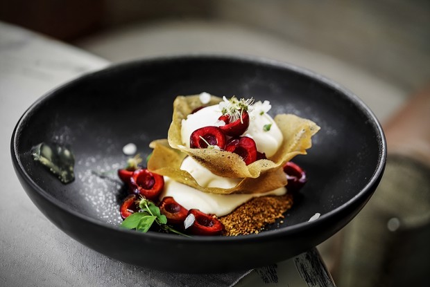 Черешневый медовик со сметанным мороженым