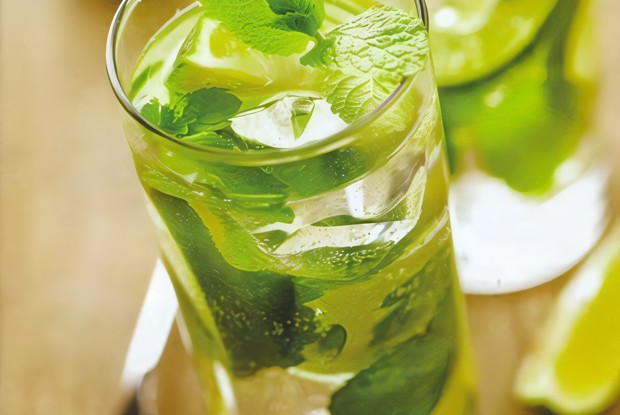 Цитрусовый тархун