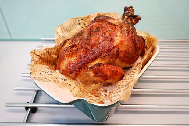 Цыпленок корнишон