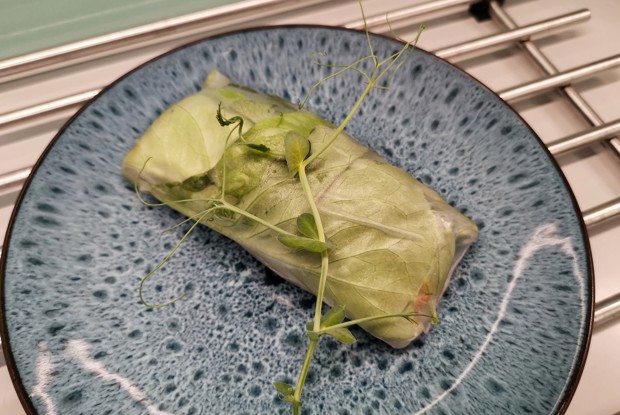 Домашние спринг-роллы