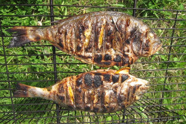 Дорада на гриле под быстрым маринадом из петрушки