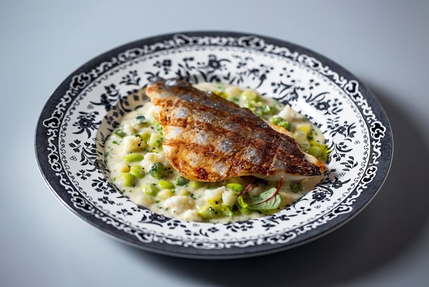 Дорада на гриле с овощным ризотто