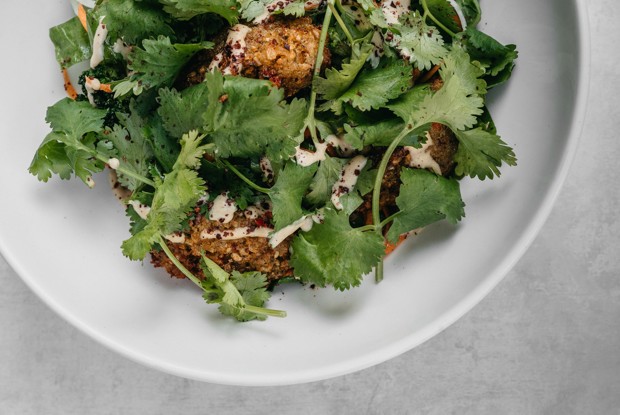 Фалафель с салатом из щавеля и капусты и соусом из хумуса