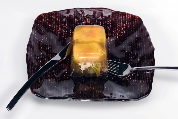 Галантин из лосося и порея