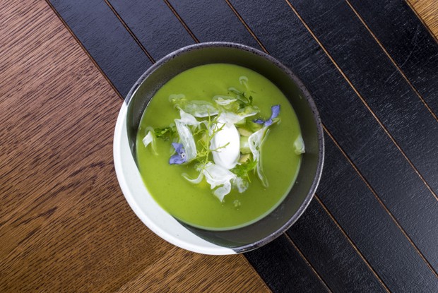 Гаспачо из зеленых овощей