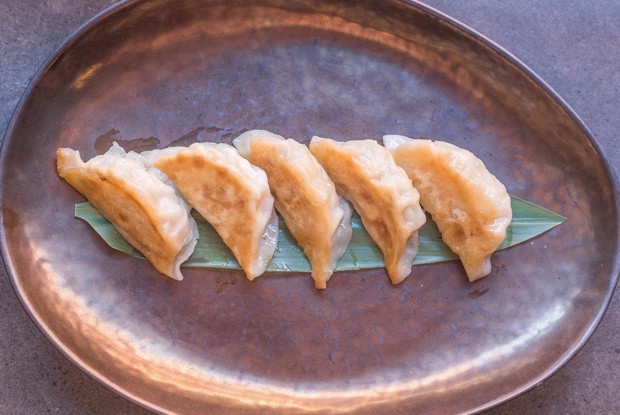 Гедза с креветками