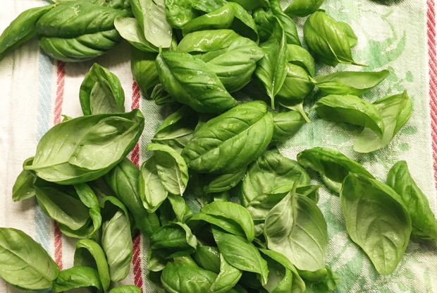 Генуэзский соус песто