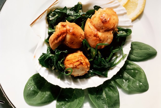 Гребешки с салатом пак-чой и кунжутом