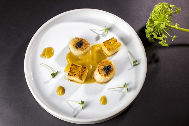 Гребешок с печеной дыней