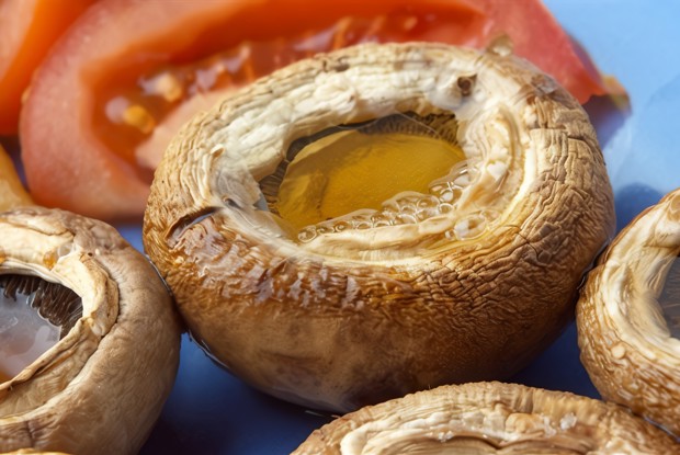 Грибы на кеци