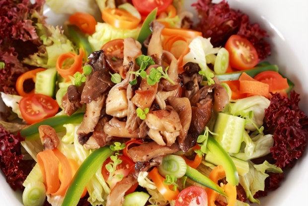 Грибной салат с соусом терияки, козьим сыром и кунжутом