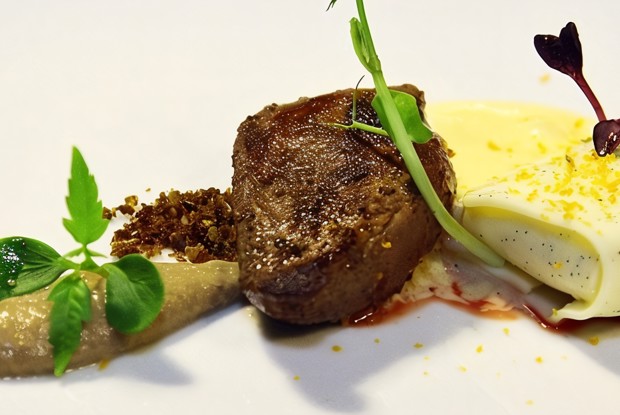 Грудка горного мясного голубя с пюре из белой моркови и куриной печени с соусом