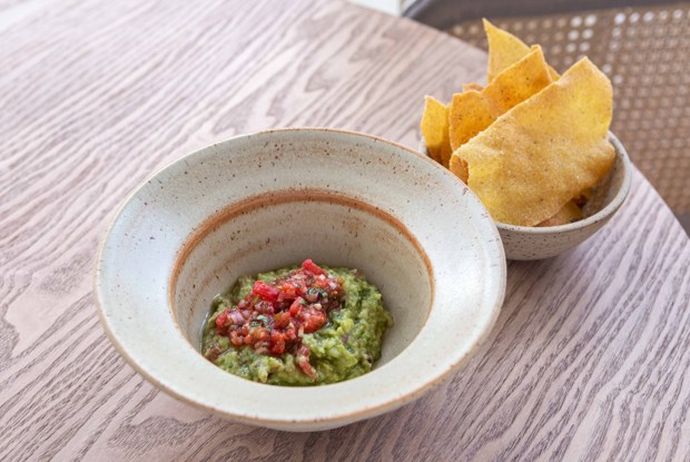 Гуакамоле с томатной сальсой