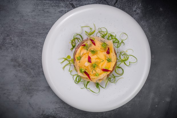 Холодец из языка с белой маринованной редькой