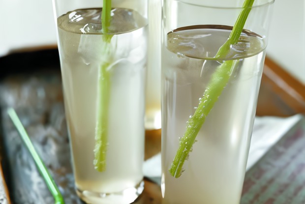 Имбирный лимонад с базиликом