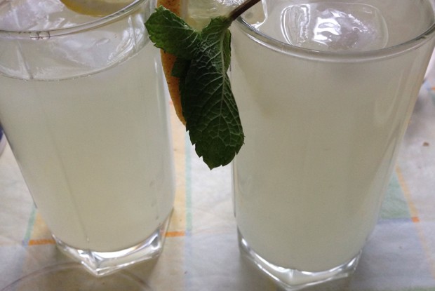 Имбирное пиво с мятой