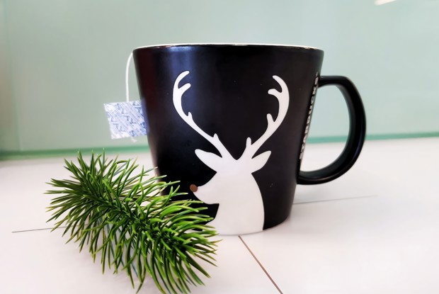 Имбирный чай с шалфеем и мятой