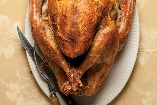 Индейка ко дню благодарения