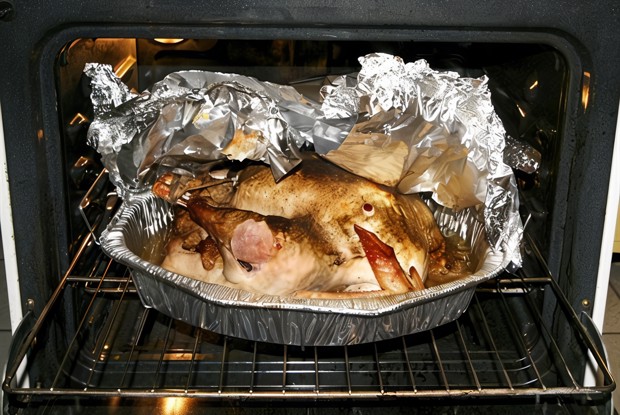 Индейка рождественская