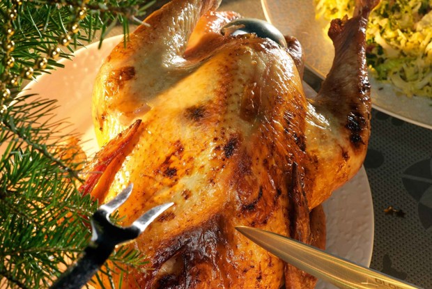 Индейка с яблоками и сладким шукрутом из савойской капусты