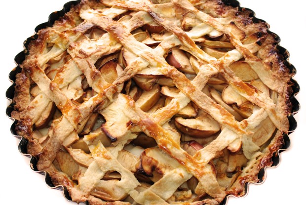 Яблочный пирог на сметане