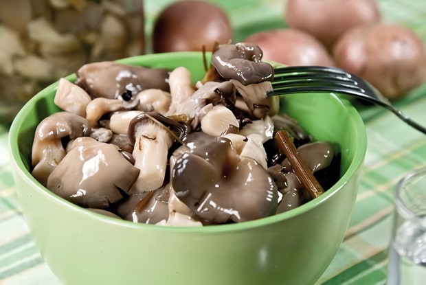 Быстрое маринование свежих вeшенок