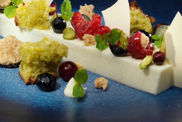 Йогуртовое желе с фисташковым кексом и ягодами