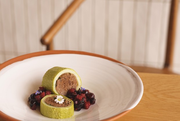 Кабачок с олениной под соусом из черники, мяты и бородинского хлеба