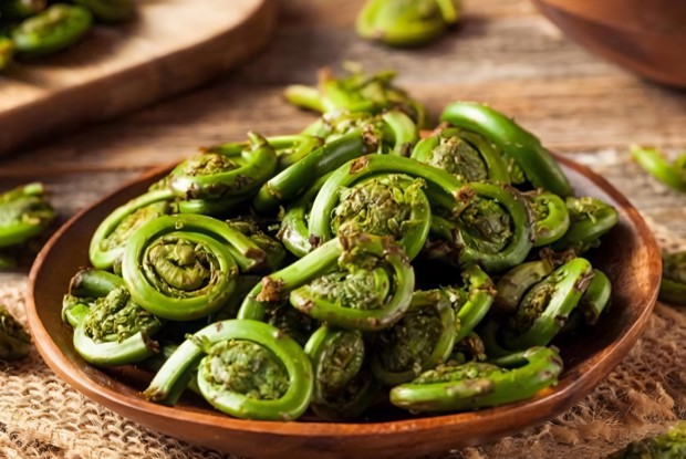 Камчатский папоротник