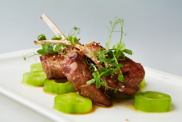 Каре исландского ягненка на гриле с соусом Зуко