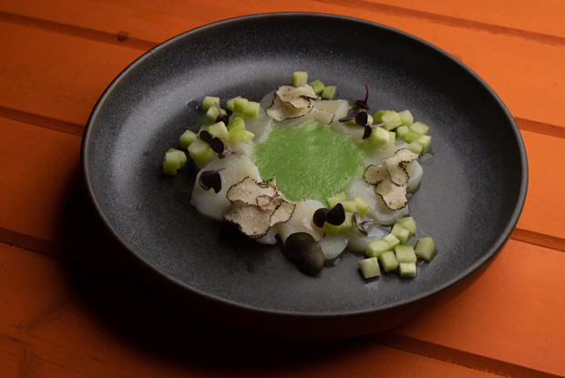 Карпаччо из гребешка с трюфельным маслом