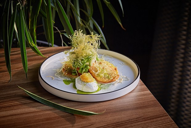 Картофельные драники с щучьей икрой, картофелем пай и зеленым соусом