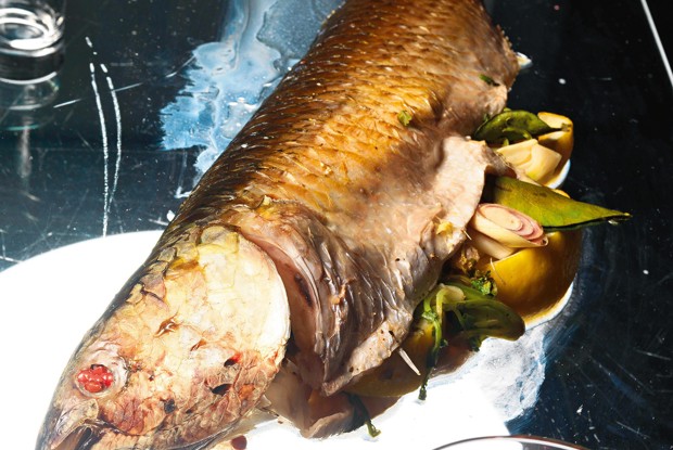 Кефаль с лимонной травой и фенхелем