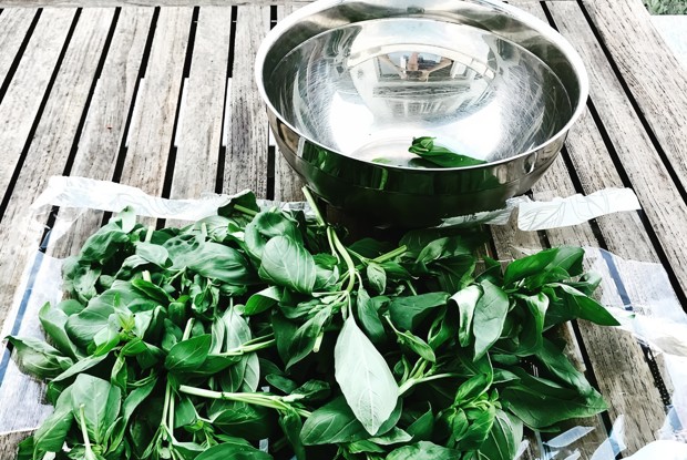 Классический соус песто