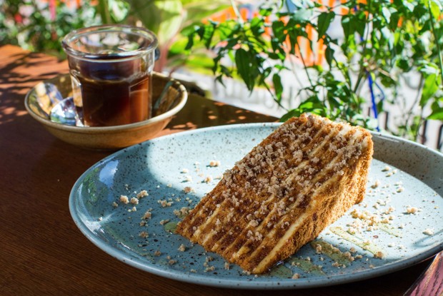 Классический медовик