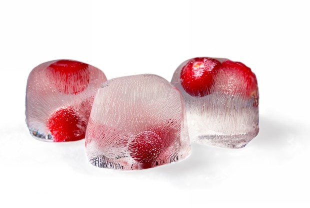 Клюквенный лед с черникой