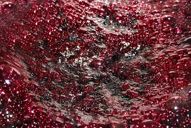 Клюквенно-вишневый соус