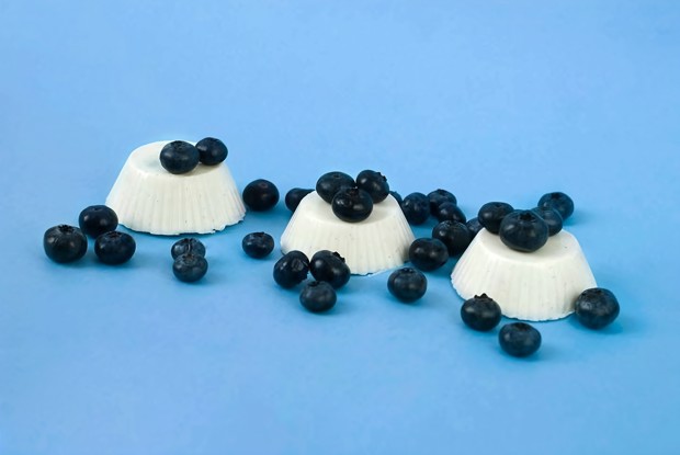 Кокосовая панна-котта (Веганская версия)