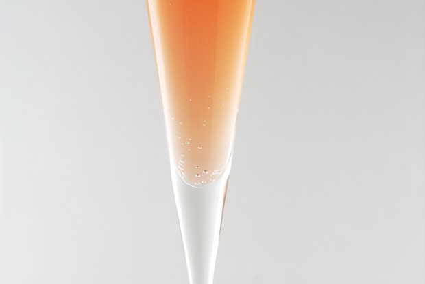 Коктейль из шампанского с коньяком