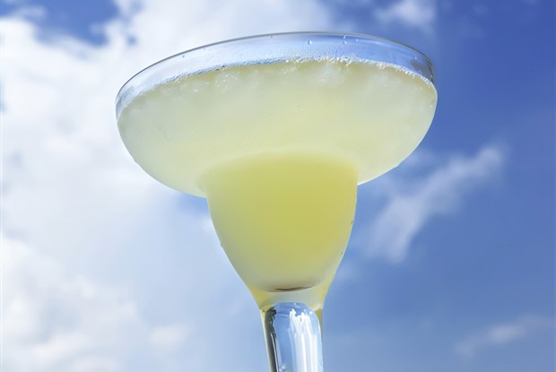 Коктейль из винограда и сельдерея