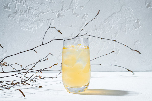 Коктейль High Ball