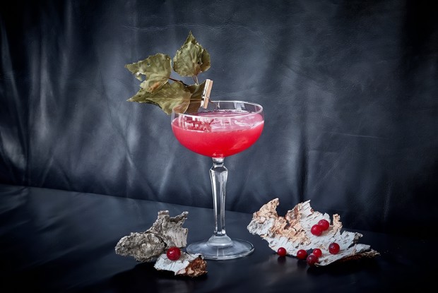 Коктейль «Клюквенные мысли»