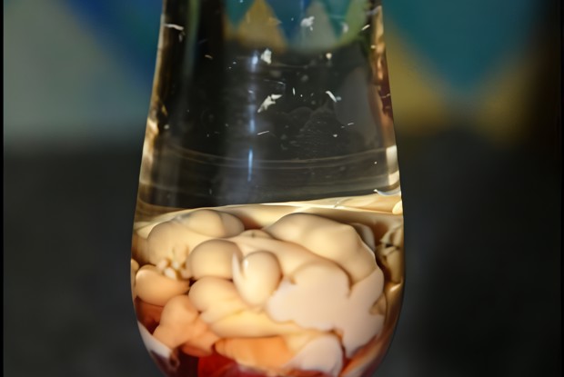 Коктейль «Опухоль мозга»