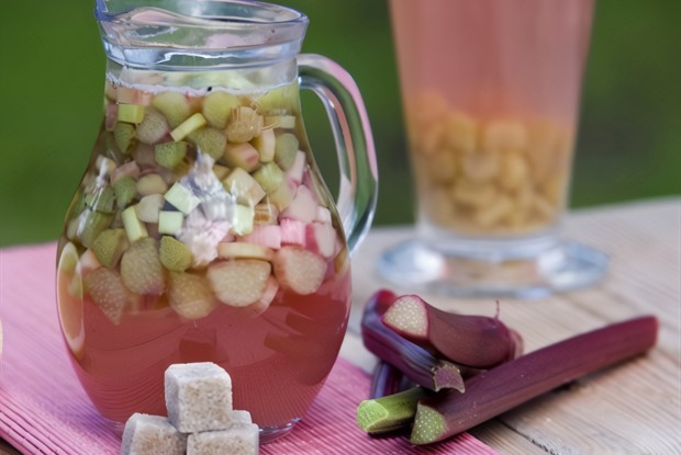 Компот из ревеня и яблок на сахарине