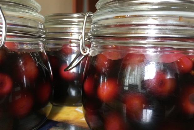 Консервированная черешня