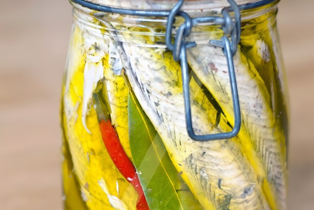 Консервированная скумбрия (тунец, бонито, макрель)