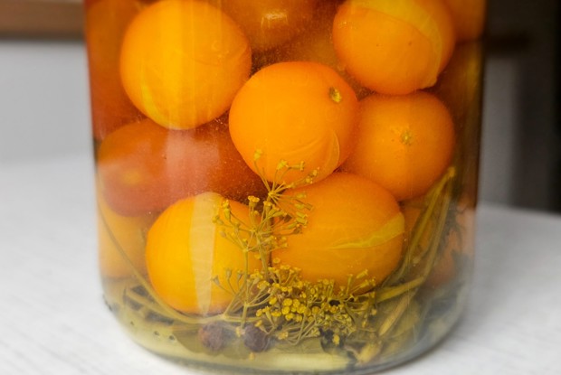 Консервированные помидоры черри