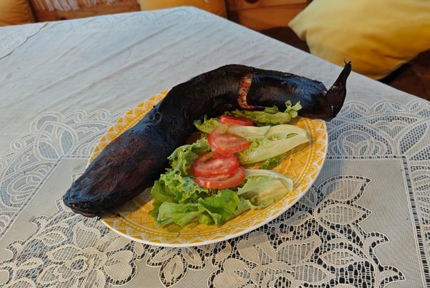 Копченый сом