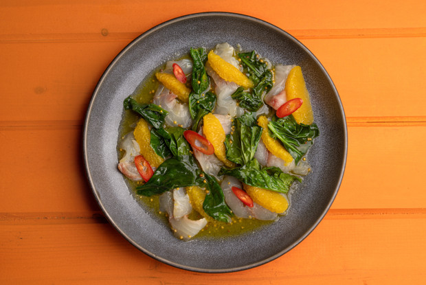 Крудо из дорадо с апельсином