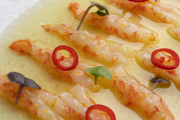 Крудо из креветок в имбирном соусе